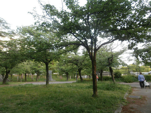 桜ノ宮の日常.jpg