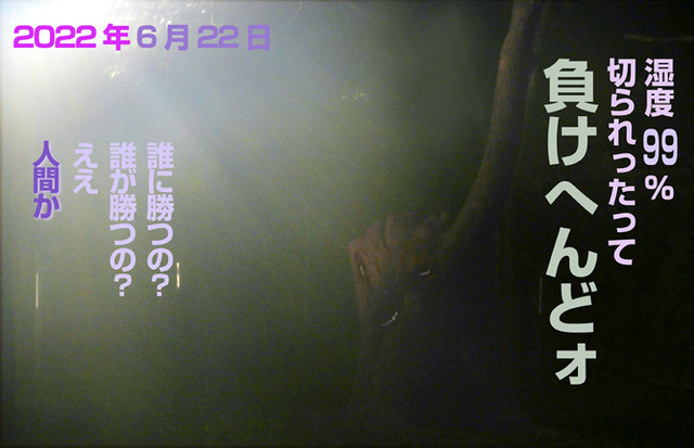 22.622.まけへんぞォ.jpg